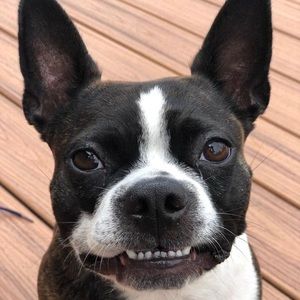 Meet your Posher, Louise